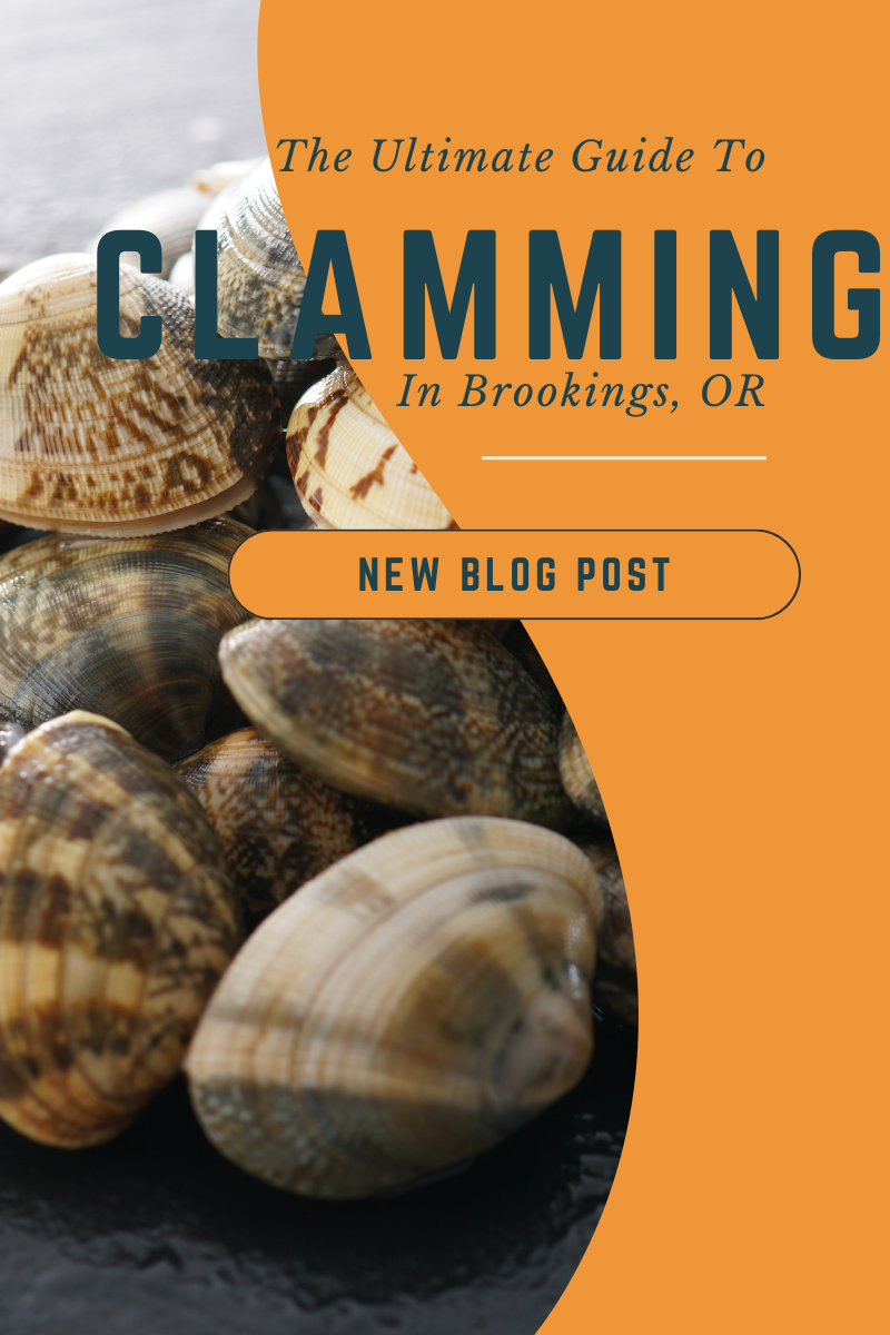 The Ultimate Guide to Clamming in Brookings, Oregon